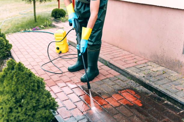 Best Fence Pressure Washing  in Cambridge, IL
