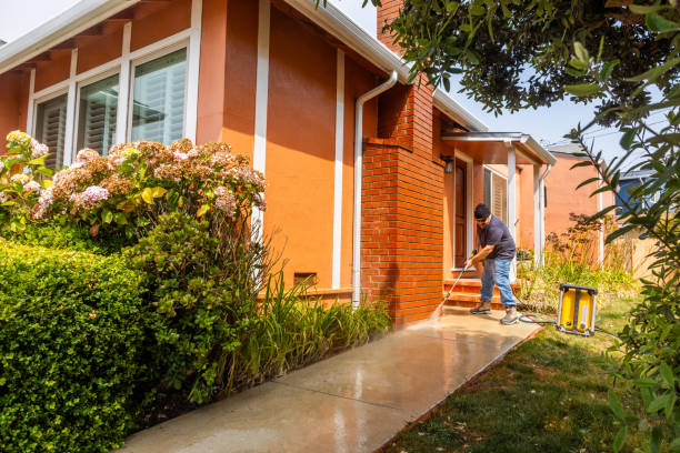 Best Roof Pressure Washing  in Cambridge, IL