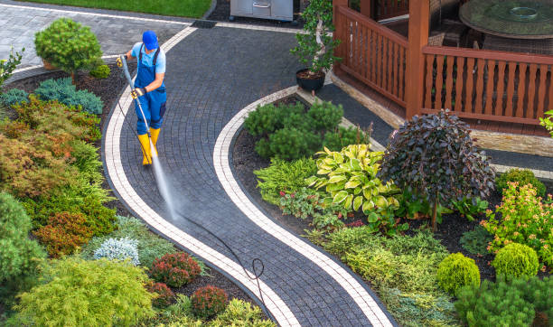 Best Roof Power Washing Services  in Cambridge, IL