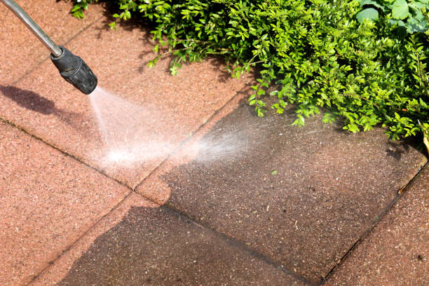 Best Power Washing Near Me  in Cambridge, IL